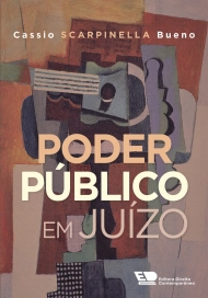 Poder Público em juízo